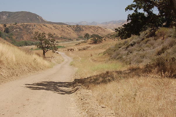 DSC 0274