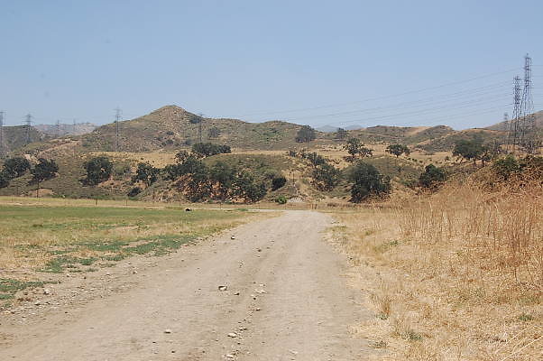 DSC 0284