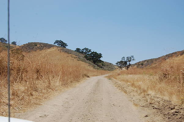 DSC 0083