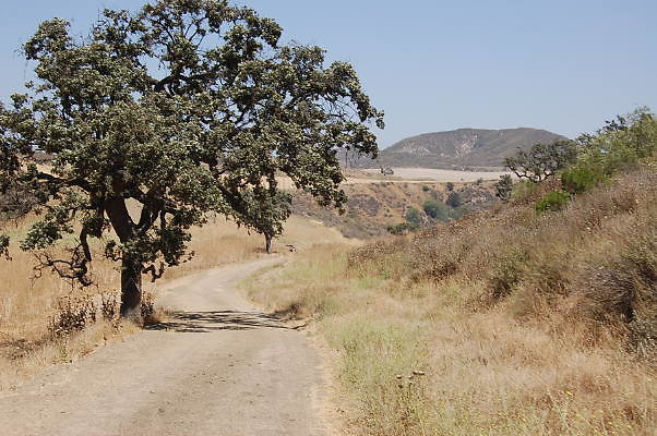 DSC 0269