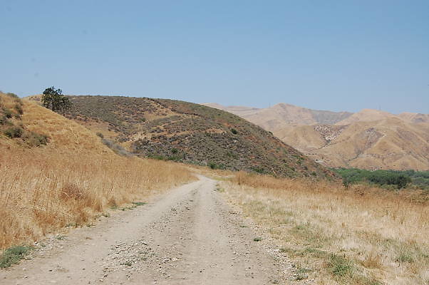 DSC 0077