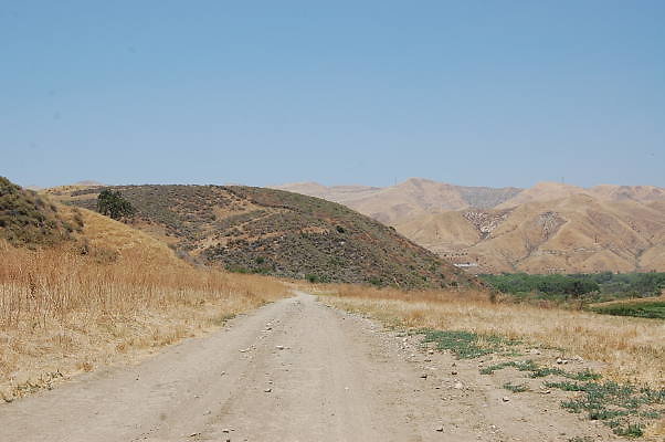 DSC 0076