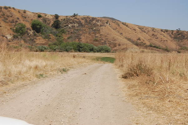 DSC 0278