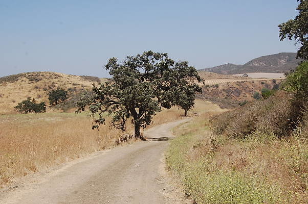 DSC 0268