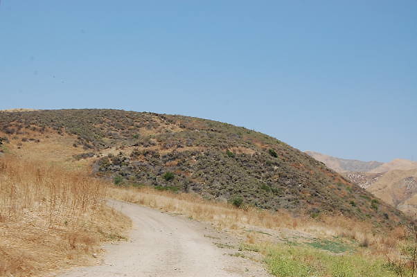 DSC 0080