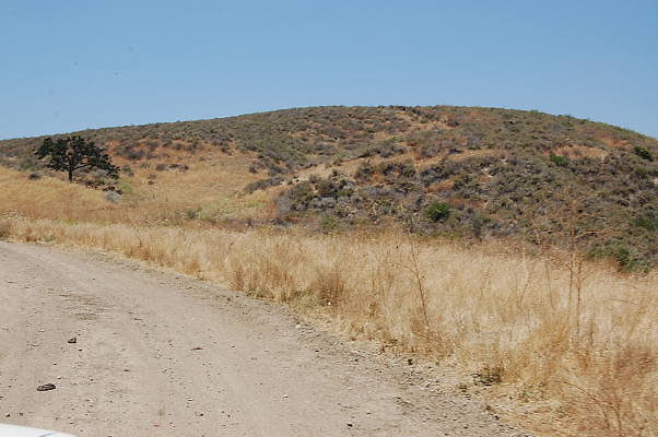DSC 0081