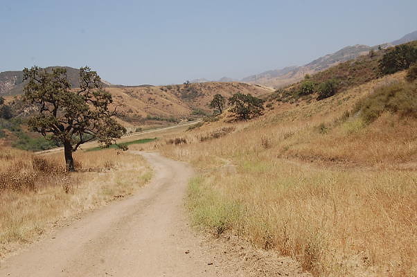 DSC 0275