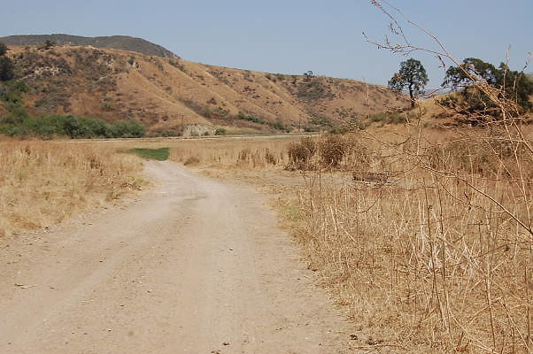 DSC 0277