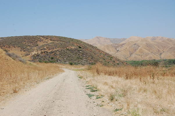 DSC 0078