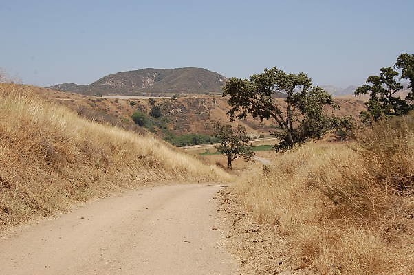 DSC 0273