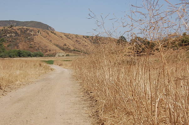 DSC 0276