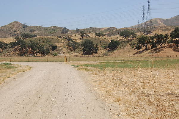 DSC 0285