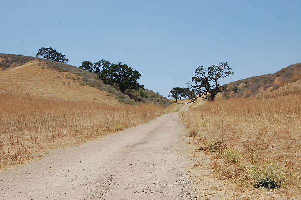 DSC 0085