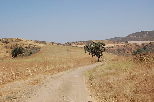 DSC 0270