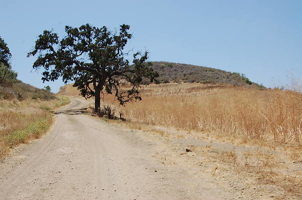 DSC 0093