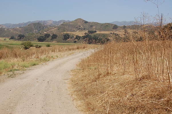 DSC 0280