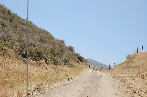 DSC 0096