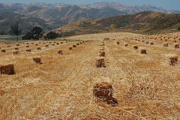 DSC 0201