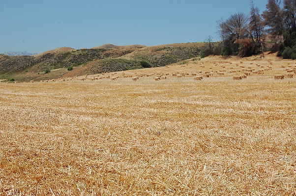 DSC 0191