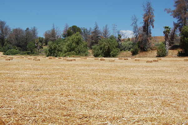 DSC 0190