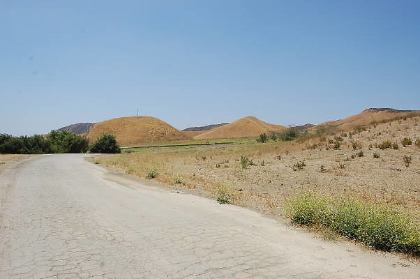 DSC 0335