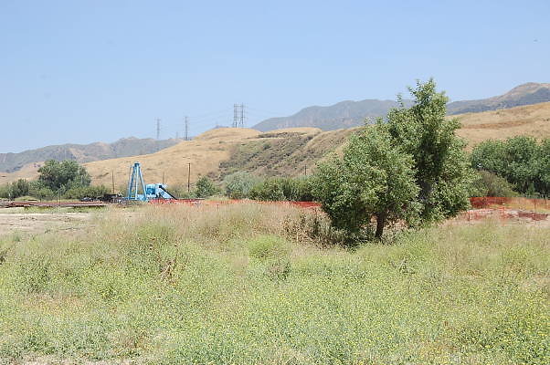 DSC 0326