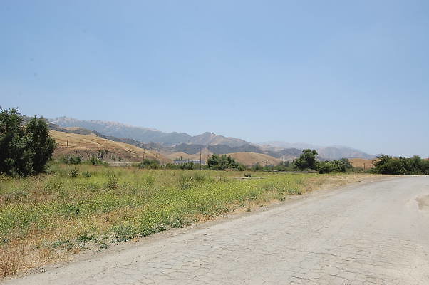 DSC 0325