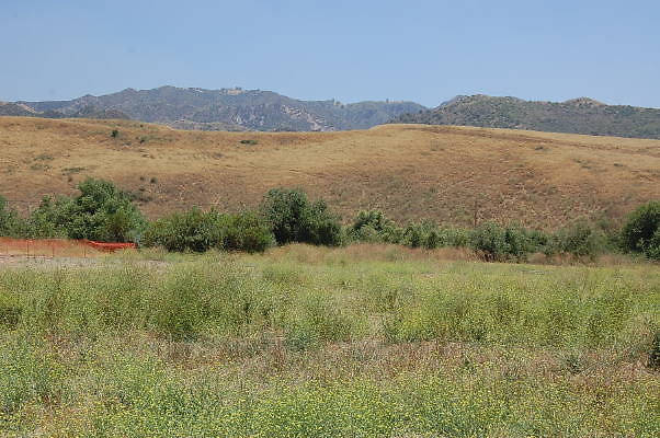 DSC 0327