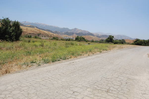 DSC 0331