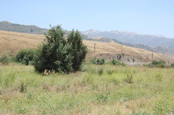 DSC 0328