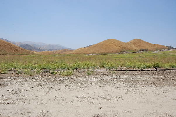 Newhall Land NW of Gas Station Rain Area.June 2010