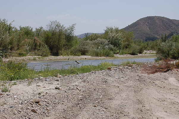 DSC 0156