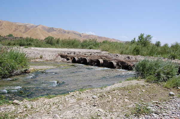 DSC 0171