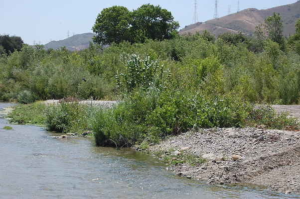 DSC 0164