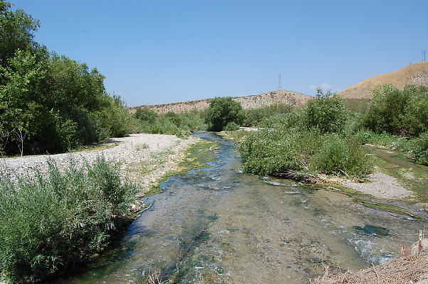 DSC 0159