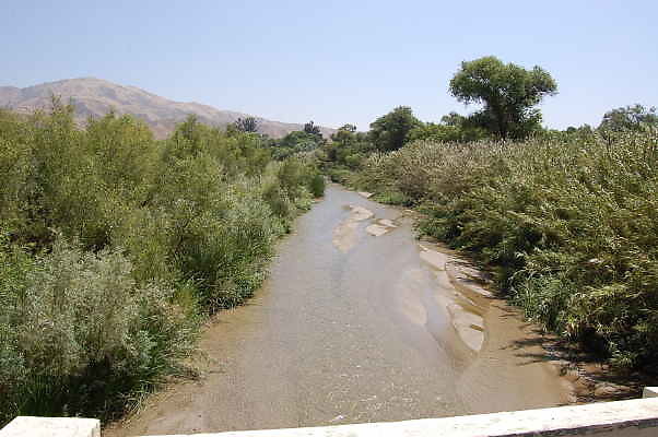 DSC 0151