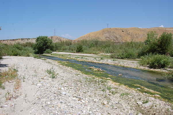 DSC 0165