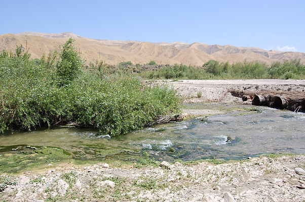 DSC 0170