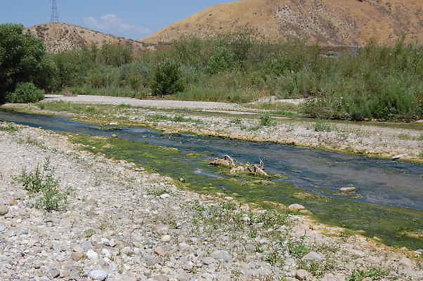 DSC 0167