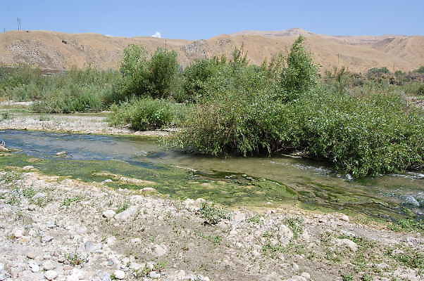 DSC 0169