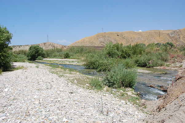 DSC 0158