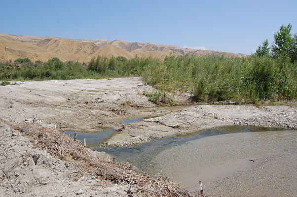 DSC 0140