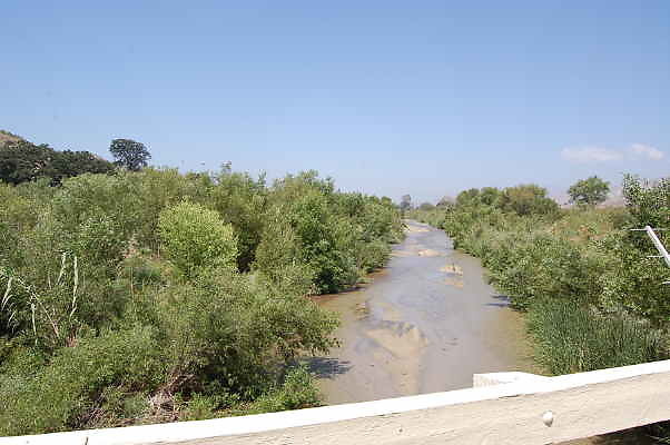 DSC 0154