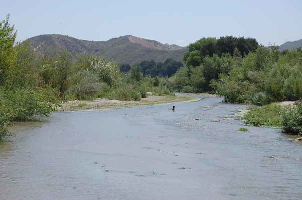 DSC 0163