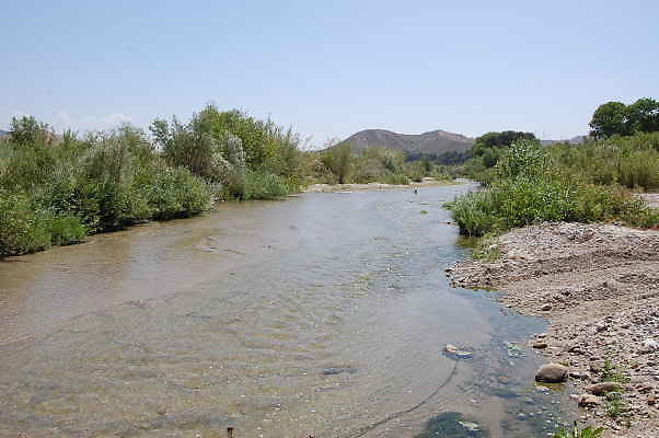 DSC 0155