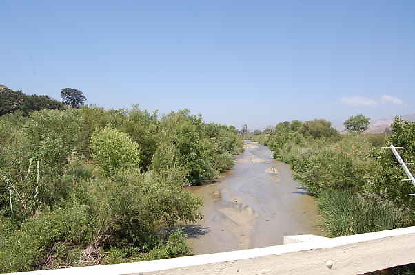 DSC 0153