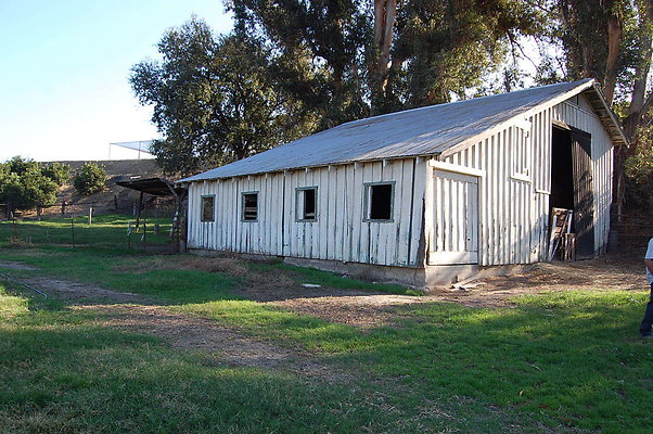 Newhall Orchard.Rear White Barn