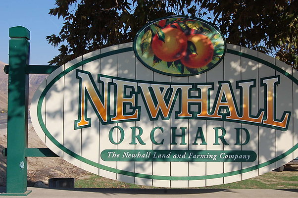 Newhall Orchards