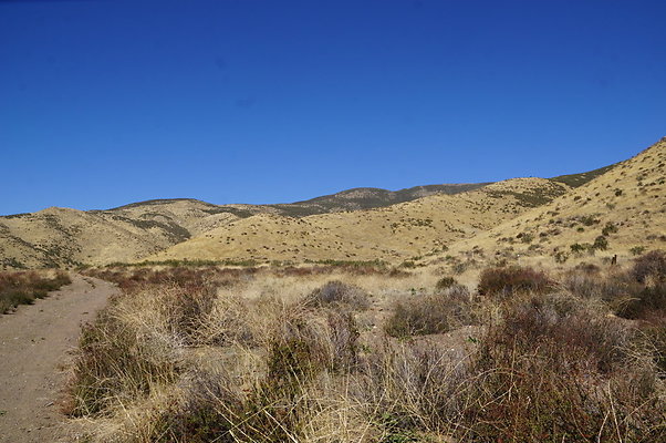 Firestone.Ranch.FIeld.102