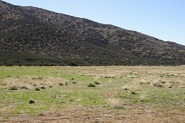 Firestone.Ranch.FIeld.122